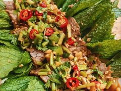 薄荷牛肉卷-云之南(八里庄店)