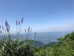 -武陵山森林公园