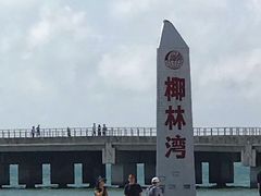 -东郊椰林
