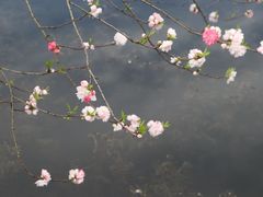 -蠡湖大桥公园