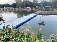 -荔湾湖公园