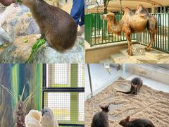 -海合安武汉极地海洋公园