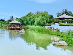 -苏州湾·王焰温泉