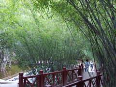 -卡定沟景区