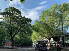 -洛阳白云山景区