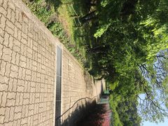 iphone_upload_pic-汉拿树木园