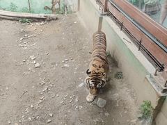 -栾川竹海野生动物园