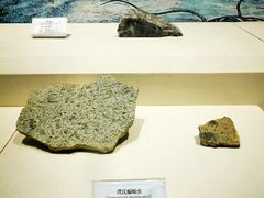 -辽宁古生物博物馆