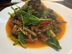 -陈麻婆豆腐(旗舰店)