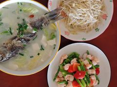 -田螺阿姨自营月嫂·育儿嫂(高新店)
