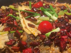 -老板恋上鱼(恒隆广场店)