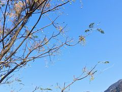 -东天目山风景区