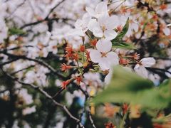 -玛格萝妮比萨屋(四平店)