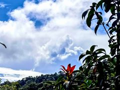 -云南屏边大围山国家公园