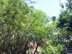 -天津五大道文化旅游区