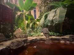 -中家鑫园温泉酒店鑫悦汤泉