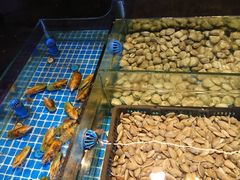 -吉源大排档·鱼生·海鲜(烧烤彩印厂店)