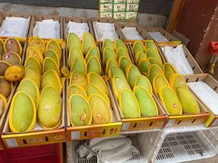 -三亚新鸿港水果一级批发市场