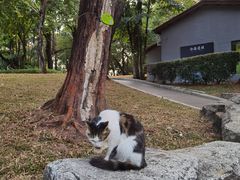 -晓港公园