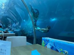 -海棠湾洲际-涛·海底餐厅·美人鱼·自助餐·海底隧道