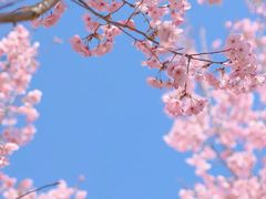 -新江湾城公园