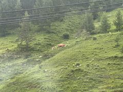 -云座·时光·观景咖啡厅(五爷庙店)