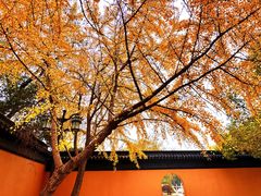 -西园戒幢律寺