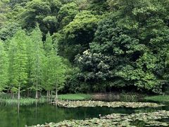 -广州市石门国家森林公园