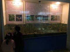 -上海昆虫博物馆