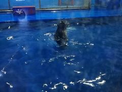 -重庆欢乐海底世界