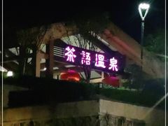 -英德宝晶宫天鹅湖茶语温泉