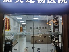 -嘉美宠物医院