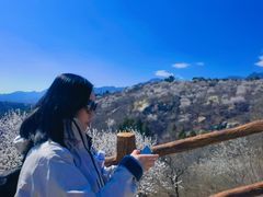 -白水寺森林公园