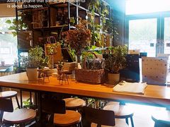 -ZING COFFEE 镜咖啡