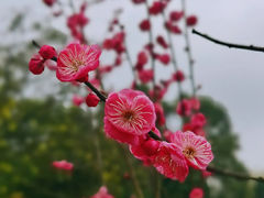 -白公馆