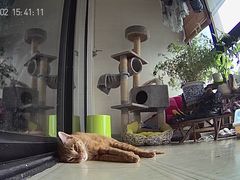 -申普宠物医院·眼科·心内科·影像科(普陀分院)