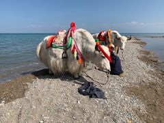 -青海湖国家重点风景名胜区