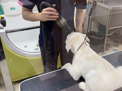 -乐琪宠物医院·犬猫专科·骨外科·急重症