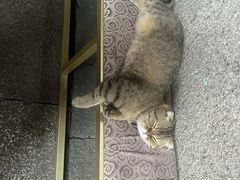 -南后街-郎官巷