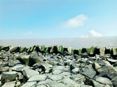 -南汇嘴观海公园