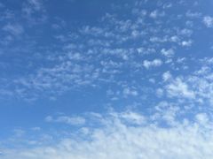 -北岭山森林公园