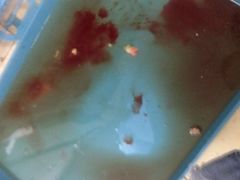 -佳佳动物医院
