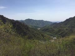 -大岭沟猕猴桃谷风景区