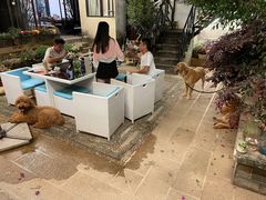 -浔岚云舍mist静谧观景美宿(丽江古城店)