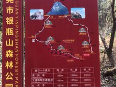 -银瓶嘴森林公园