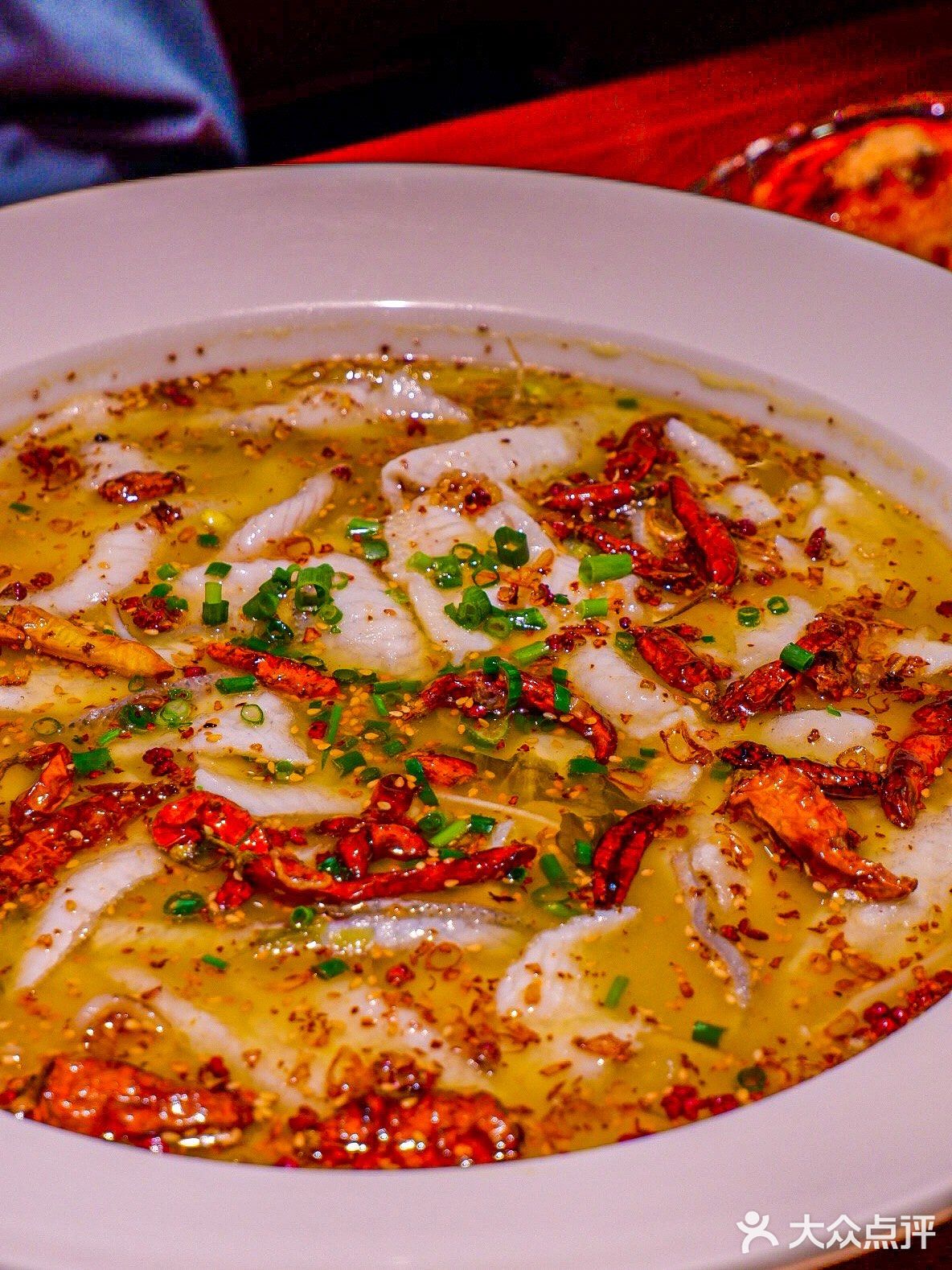 海上世界也有渝月了‼️我的快乐回来了‼️