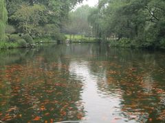 -西湖外事游船(花港观鱼码头)