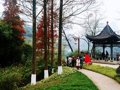 -重庆彩云湖湿地公园