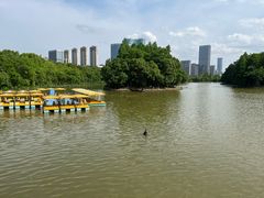 -艾溪湖湿地公园