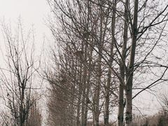 -永定河休闲森林公园